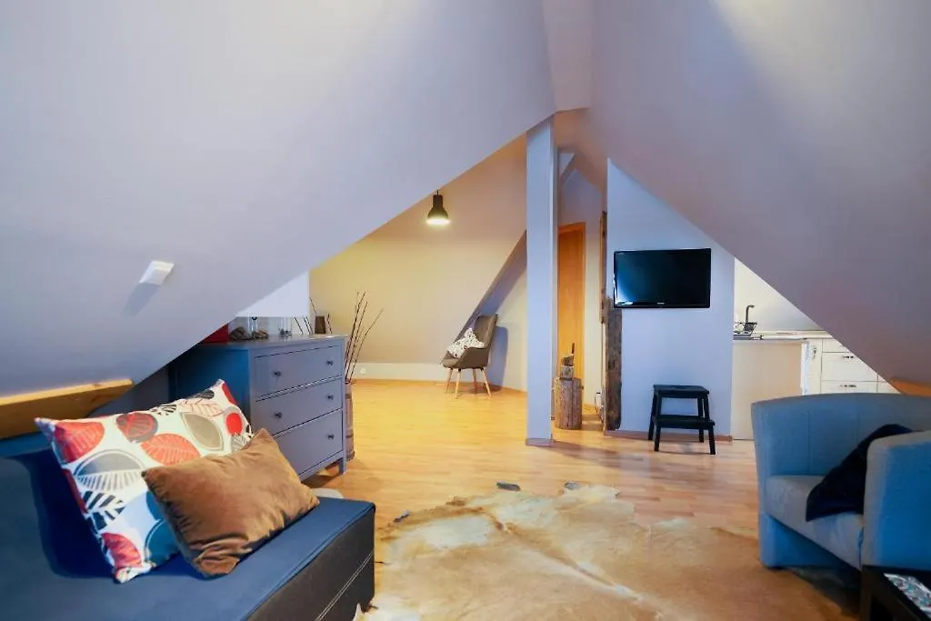 Apartament Trzynastka Pod Krokwia - Blisko Skoczni I Kuznic Zakopane Polonya