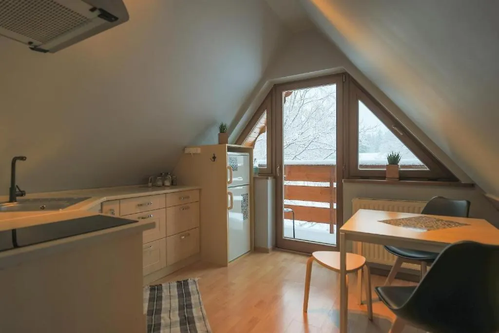 Apartament Trzynastka Pod Krokwia - Blisko Skoczni I Kuznic Zakopane Daire